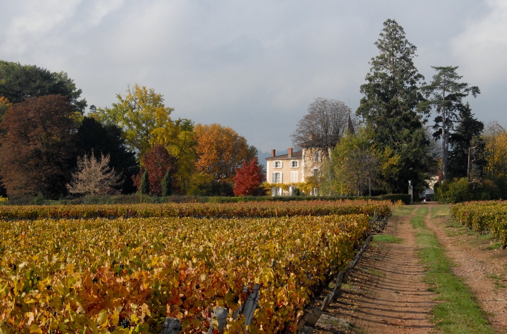 chateau_flechere_domaine-1.JPG