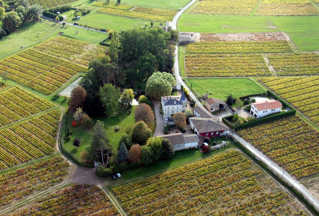 chateau_flechere_domaine-7.jpg